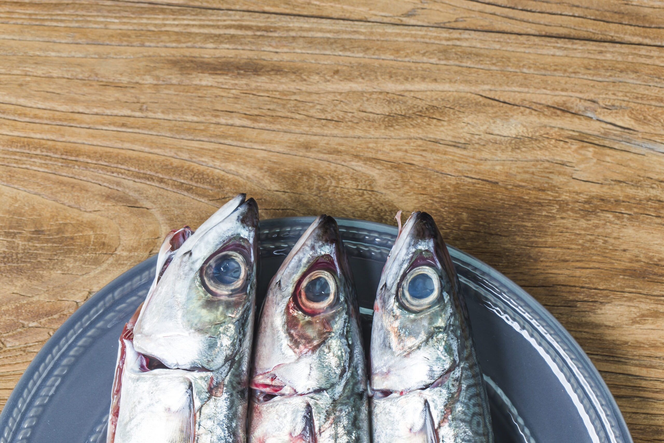 About fresh fish mackerel