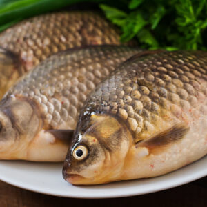 three fresh raw crucian on a wooden background with herbs