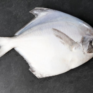 pomfret (silver pomfret)
